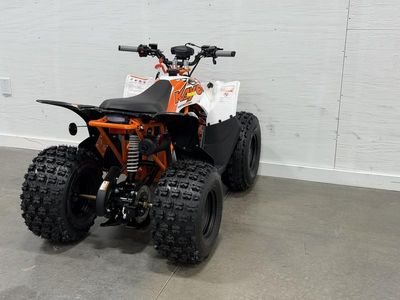 2026 Kayo Predator 125 - Photo 9