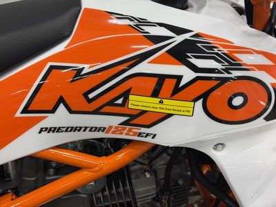 2026 Kayo Predator 125 - Photo 14