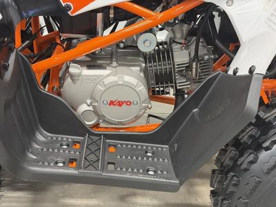 2026 Kayo Predator 125 - Photo 13