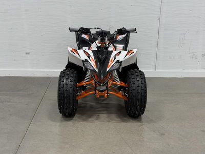 2026 Kayo Predator 125 - Photo 4