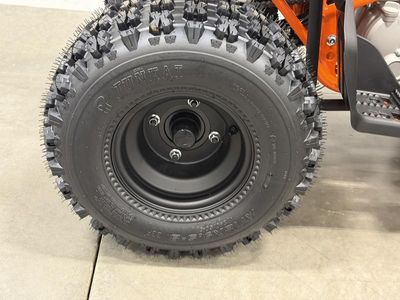 2026 Kayo Predator 125 - Photo 16
