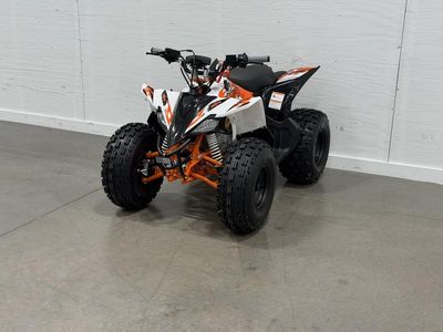 2026 Kayo Predator 125 - Photo 5