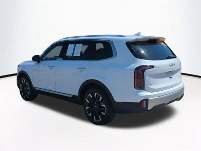 2024 Kia Telluride — photo 7 view
