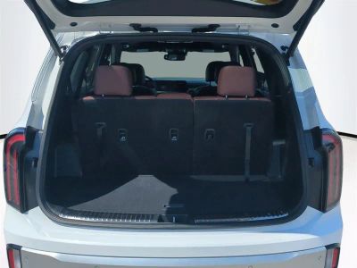 2024 Kia Telluride — photo 14 view