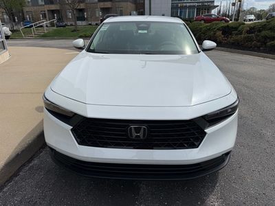 2025 Honda Accord - Photo 2