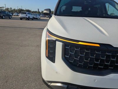 2026 Kia Carnival Hybrid — photo 12 view