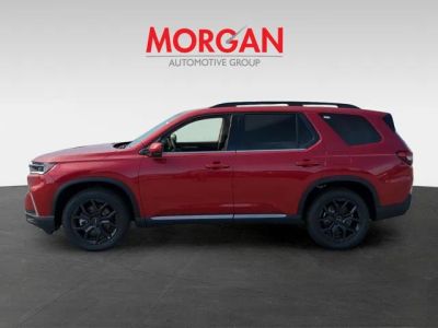 2025 Honda Pilot — photo 8 view