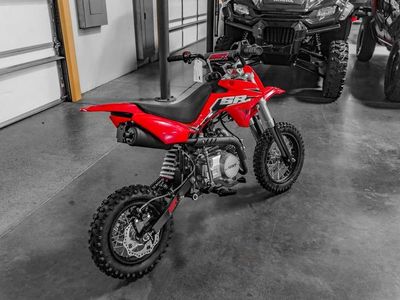 2025 SSR Motorsports SR110SE - Photo 4