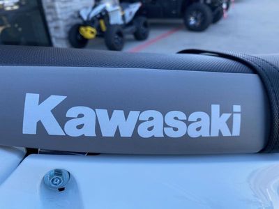 2026 Kawasaki KLX300 - Photo 11