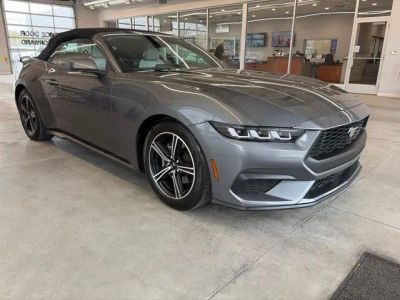 2024 Ford Mustang — rear three-quarter view