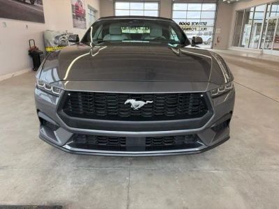 2024 Ford Mustang — side profile view