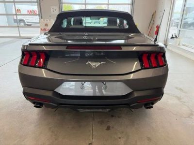 2024 Ford Mustang — detail view