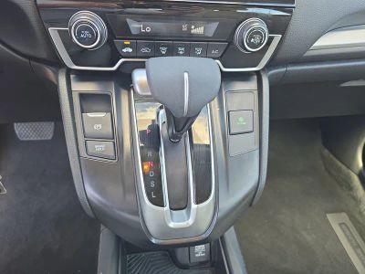 2019 Honda CR-V — photo 19 view