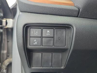2019 Honda CR-V — photo 22 view