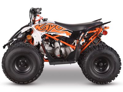 2025 Kayo Predator 125 EFI - Photo 2