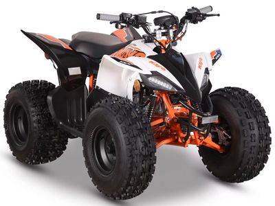 2025 Kayo Predator 125 EFI - Photo 3