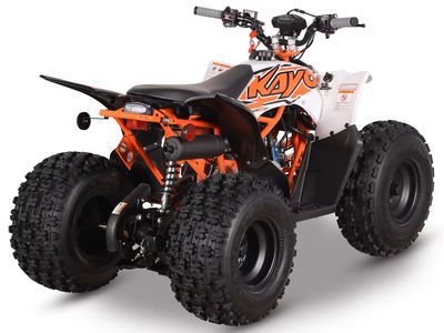 2025 Kayo Predator 125 EFI - Photo 6