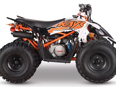 2025 Kayo Predator 125 EFI - Photo 1
