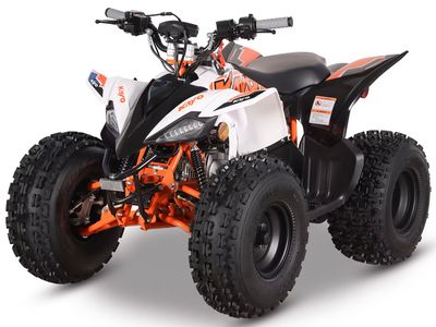 2025 Kayo Predator 125 EFI - Photo 4