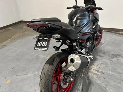 2024 Kawasaki ER500FRFAL - Photo 13