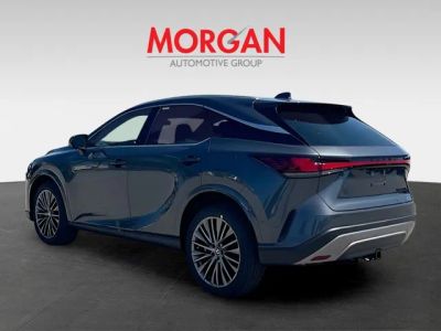 2026 Lexus RX — detail view