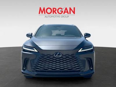 2026 Lexus RX — photo 8 view