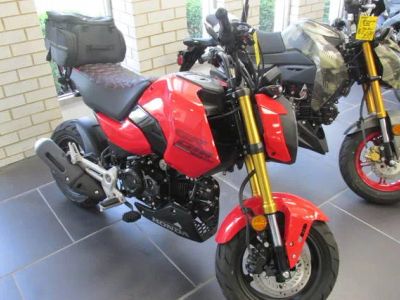 2025 Honda® Grom ABS — front three-quarter view