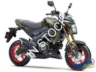 2026 Kawasaki Z125 Pro - Photo 1