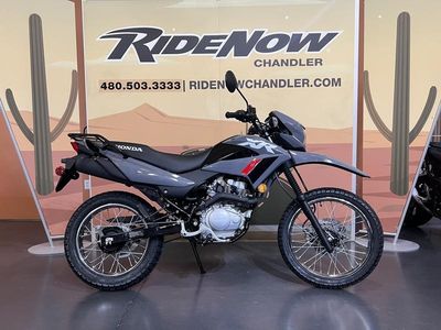 2025 Honda XR150L - Photo 4