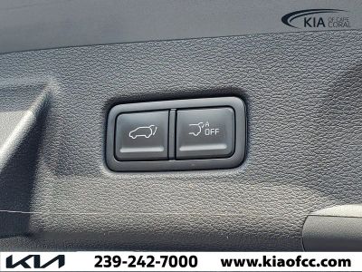2024 Kia Telluride — photo 10 view