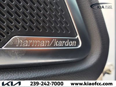 2024 Kia Telluride — photo 22 view