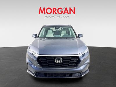 2026 Honda CR-V - Photo 3