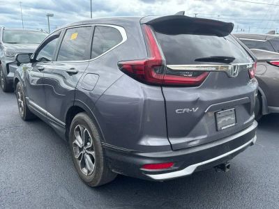 2020 Honda CR-V - Photo 3