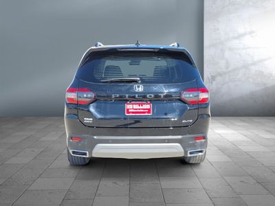 2025 Honda Pilot — detail view