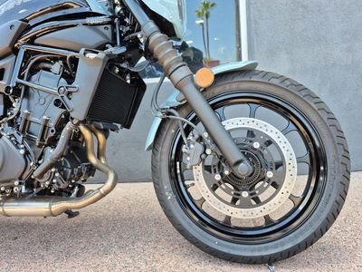 2025 Kawasaki Eliminator SE ABS - Photo 15