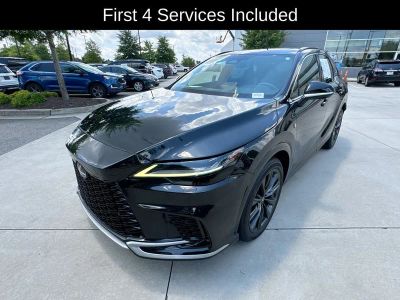 2024 Lexus RX — detail view