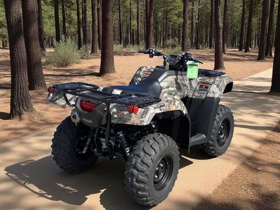 2026 Honda FourTrax Rancher 4x4 Automatic DCT IRS EPS - Photo 12