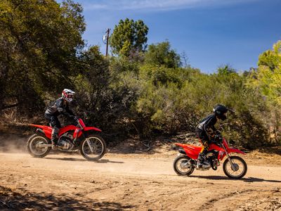 2026 Honda CRF110F - Photo 9