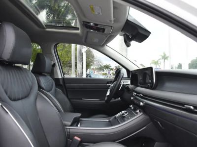 2024 Hyundai Palisade — photo 29 view