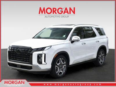 2024 Hyundai Palisade Limited in Hyper White — front three-quarter view