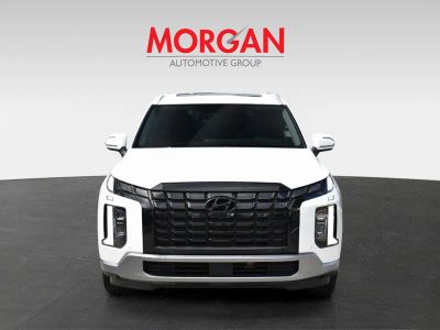 2024 Hyundai Palisade — side profile view