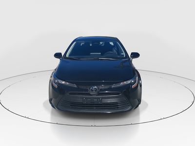 2024 Toyota Corolla - Photo 2