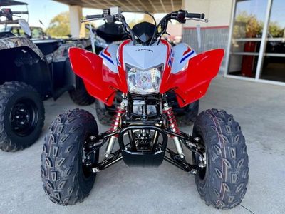 2026 Honda TRX250X - Photo 4