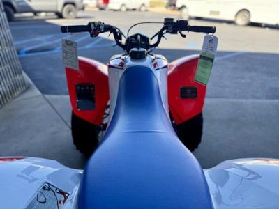 2026 Honda TRX250X - Photo 3
