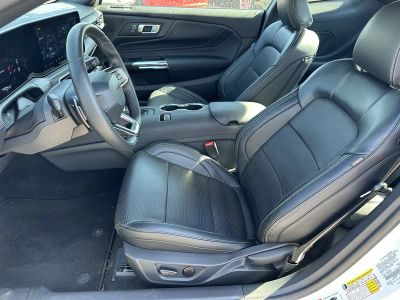 2025 Ford Mustang — photo 13 view