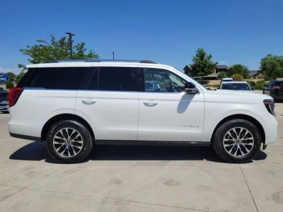 2025 Ford Expedition — side profile view