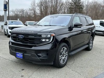 2025 Ford Expedition — detail view