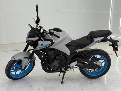 2025 Yamaha MT-03 - Photo 13