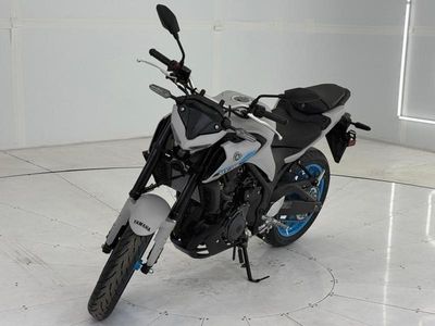 2025 Yamaha MT-03 - Photo 3