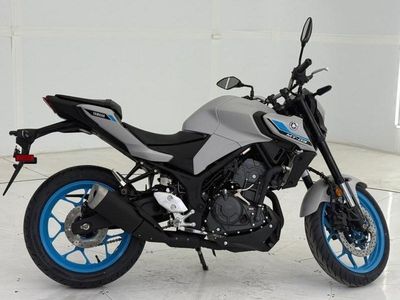 2025 Yamaha MT-03 - Photo 2